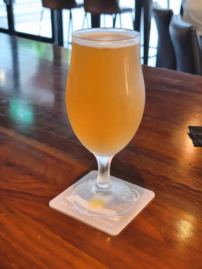 Hazy IPA at Hit Cat Brewing