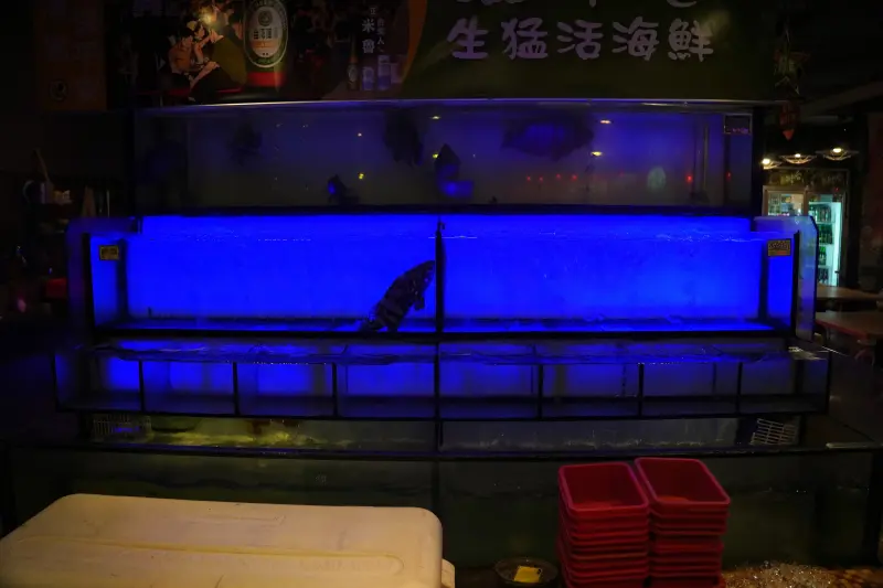 Fresh seafood at Lin Yang Gang