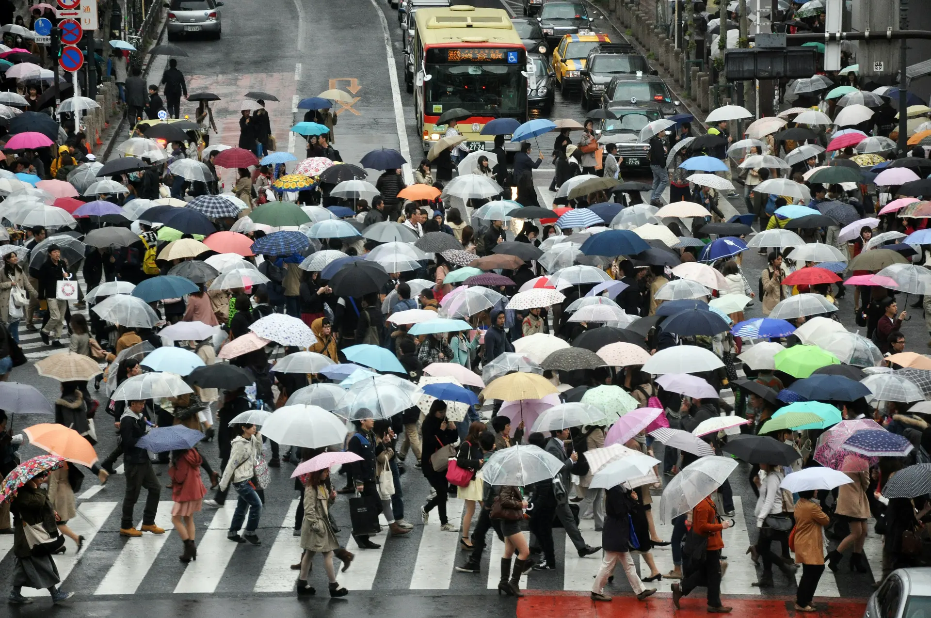 Japan Vs Taiwan: Which Should You Visit in 2026?